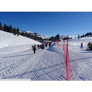 KiGa II 2019